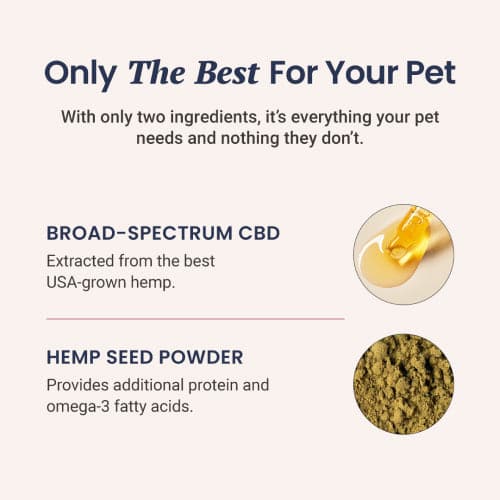 CBD Capsules for Dogs and Cats