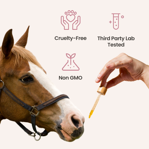 CBD Pellets for Horses - HolistaPet