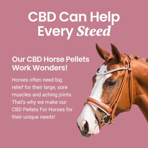 CBD Pellets for Horses - HolistaPet