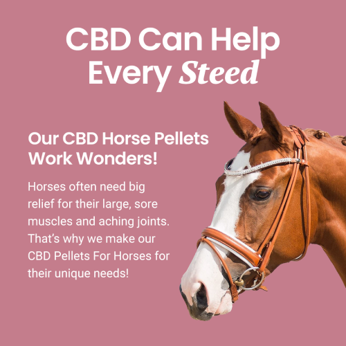 CBD Pellets for Horses