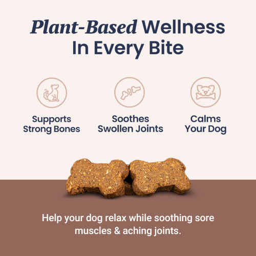 CBD Dog Treats + Joint and Mobility Care