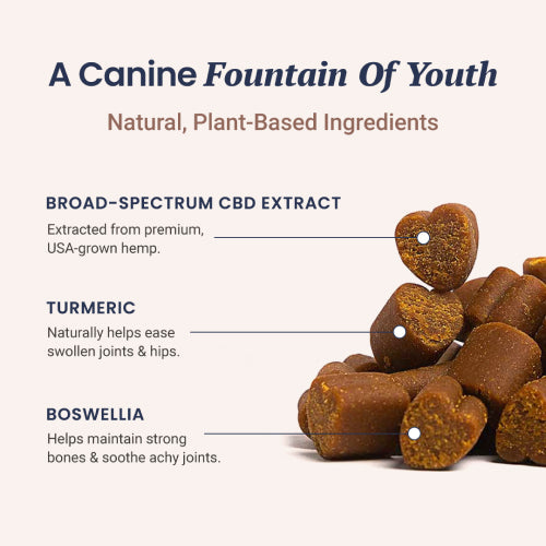 CBD Mobility Chews for Dogs