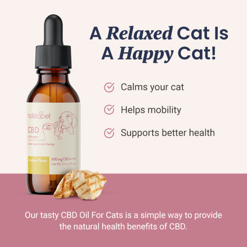 Chicken Flavored CBD Oil for Cats