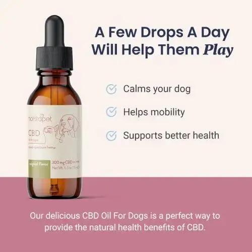 CBD Oil for Dogs - Calms your dog