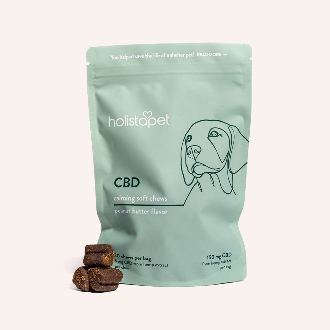 Reasons To Choose Cbd Treats For Your Dog To Overcome Anxiety 