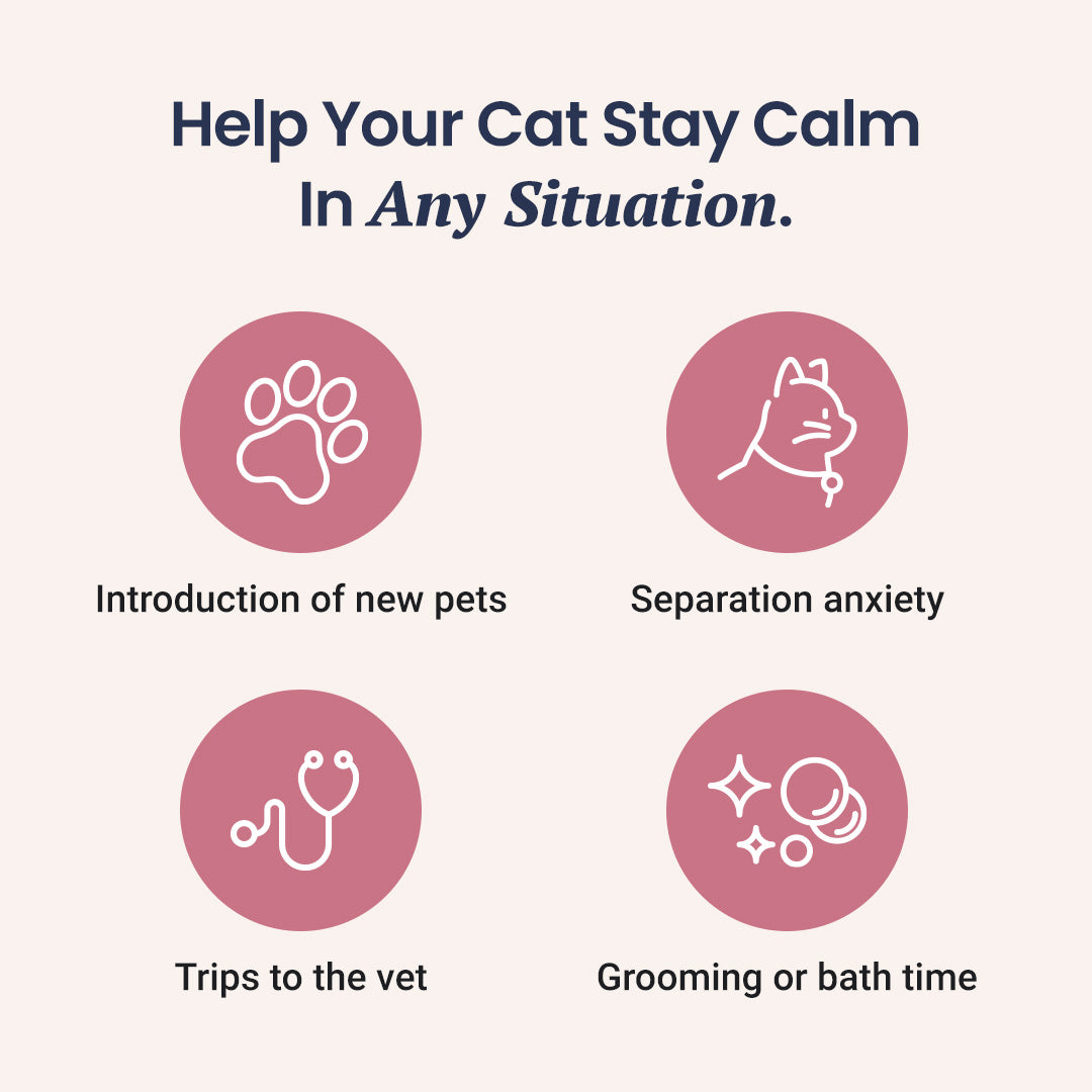 CBD Calming Chews for Cats - HolistaPet