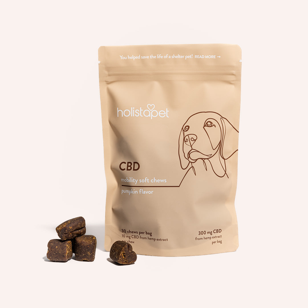 Best Pet Cbd Treats for Dogs: Top-Rated Calm & Healthy Choices