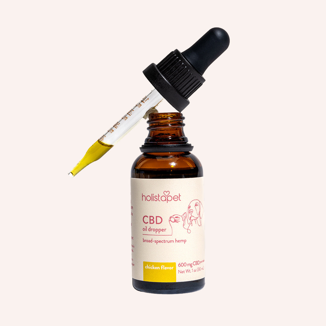 Chicken Flavored CBD Oil For Dogs