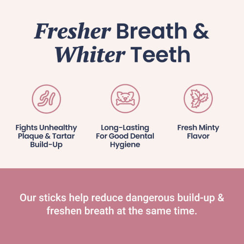 Dental Support + Fresh Breath Dental Sticks for Dogs