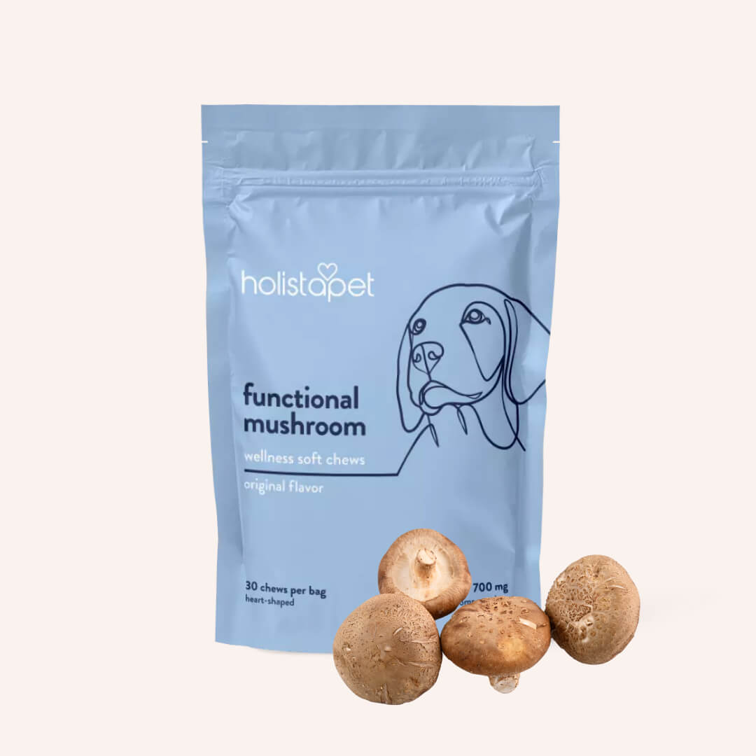 Functional Mushroom Soft Chews For Dogs