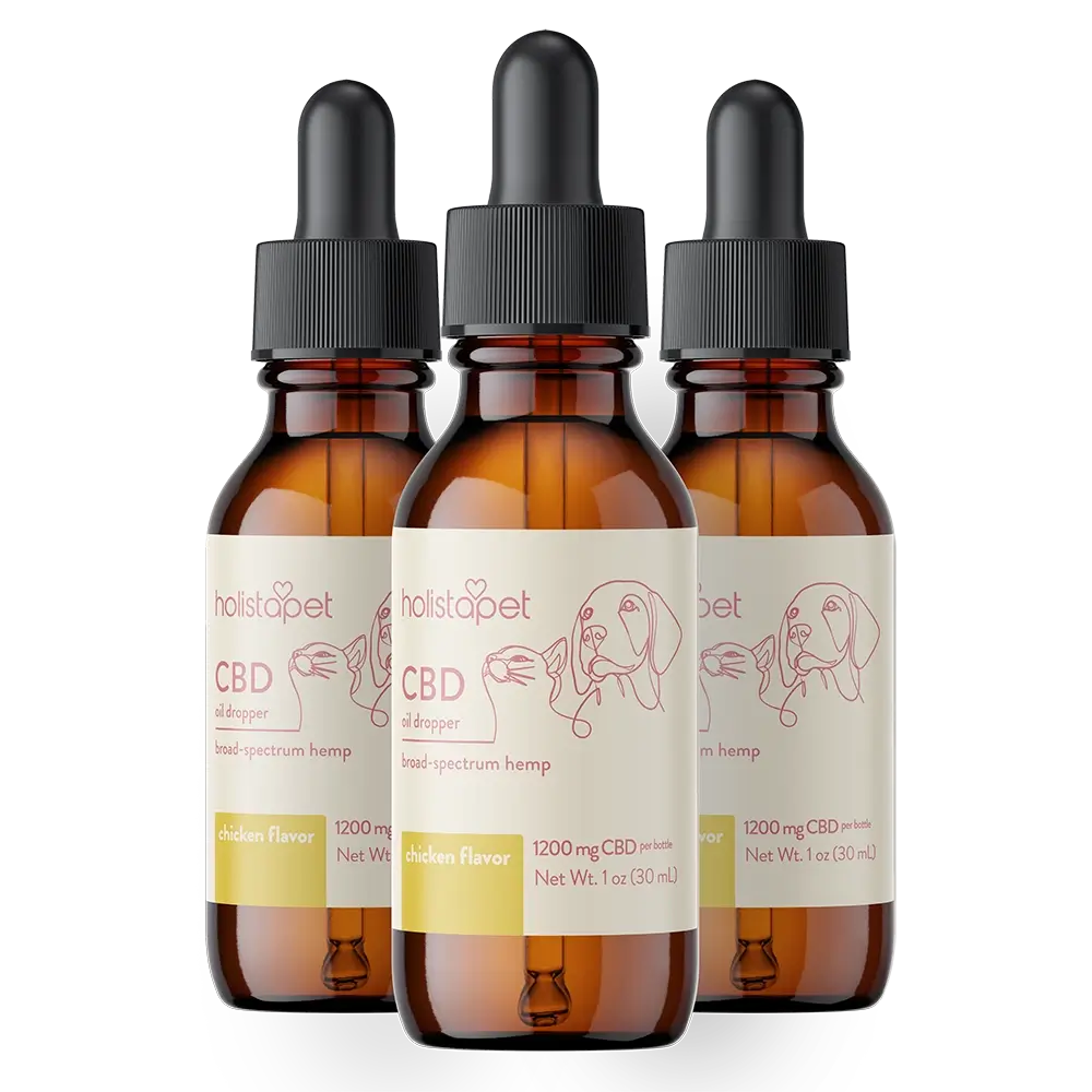 Chicken Flavored CBD Oil For Dogs - HolistaPet