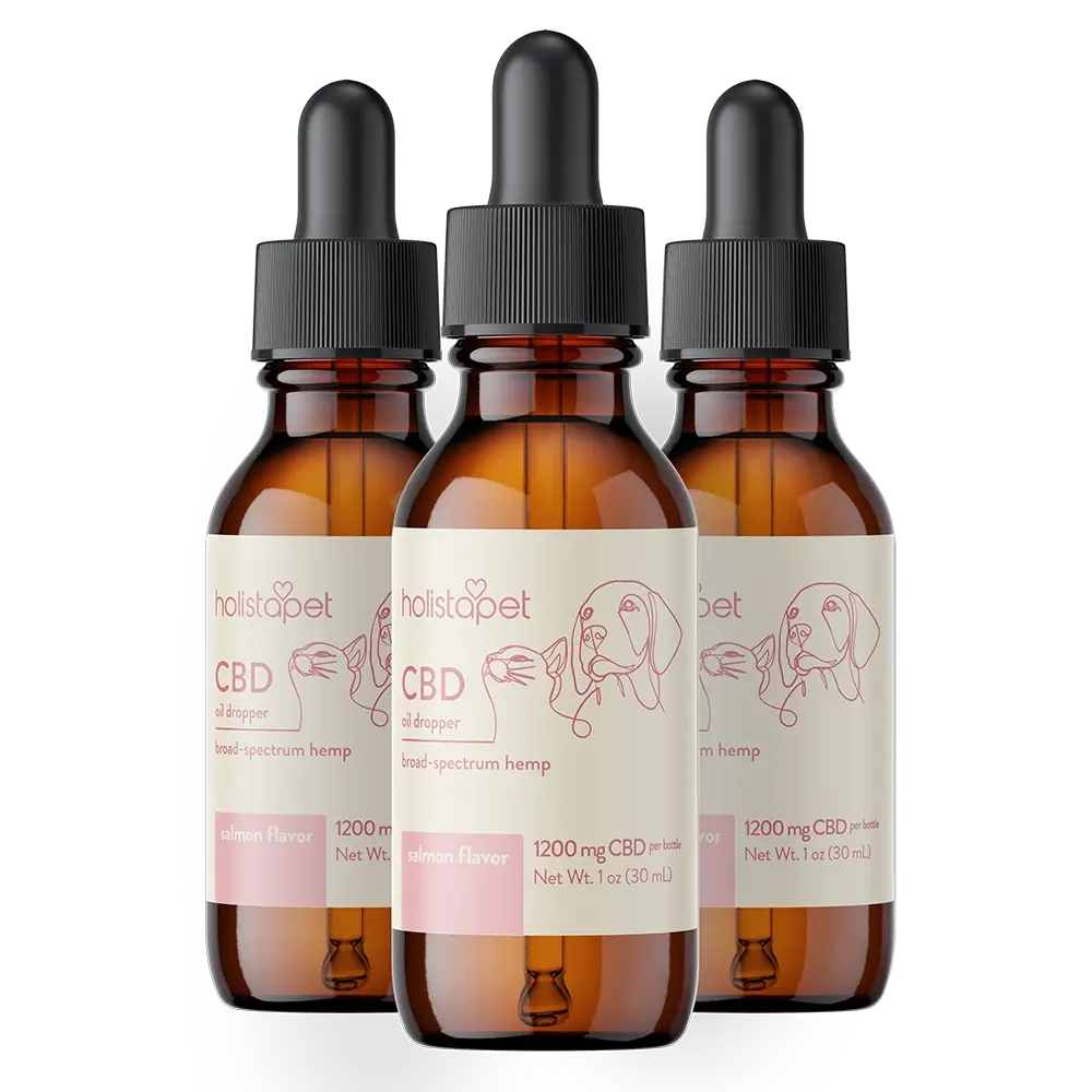 Salmon Flavored CBD Oil For Cats - HolistaPet