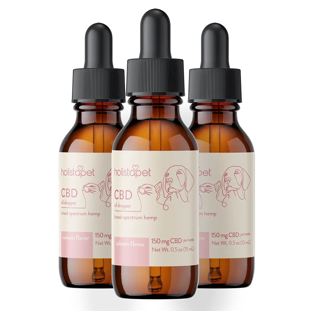 Salmon Flavored CBD Oil For Cats - HolistaPet