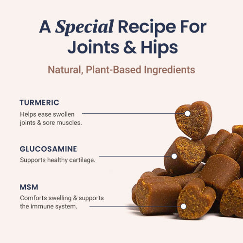 Joint Support Soft Chews for Dogs - HolistaPet