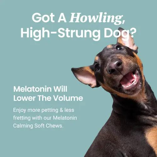 Melatonin Soft Chews