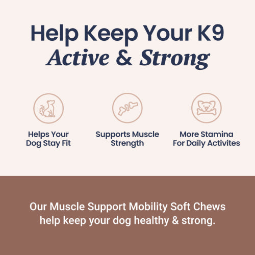 Muscle Support Soft Chews for Dogs - HolistaPet