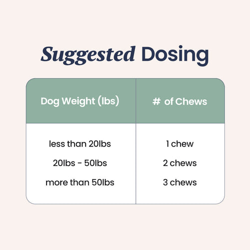 Melatonin for Dogs Natural Sleep & Relaxation Support