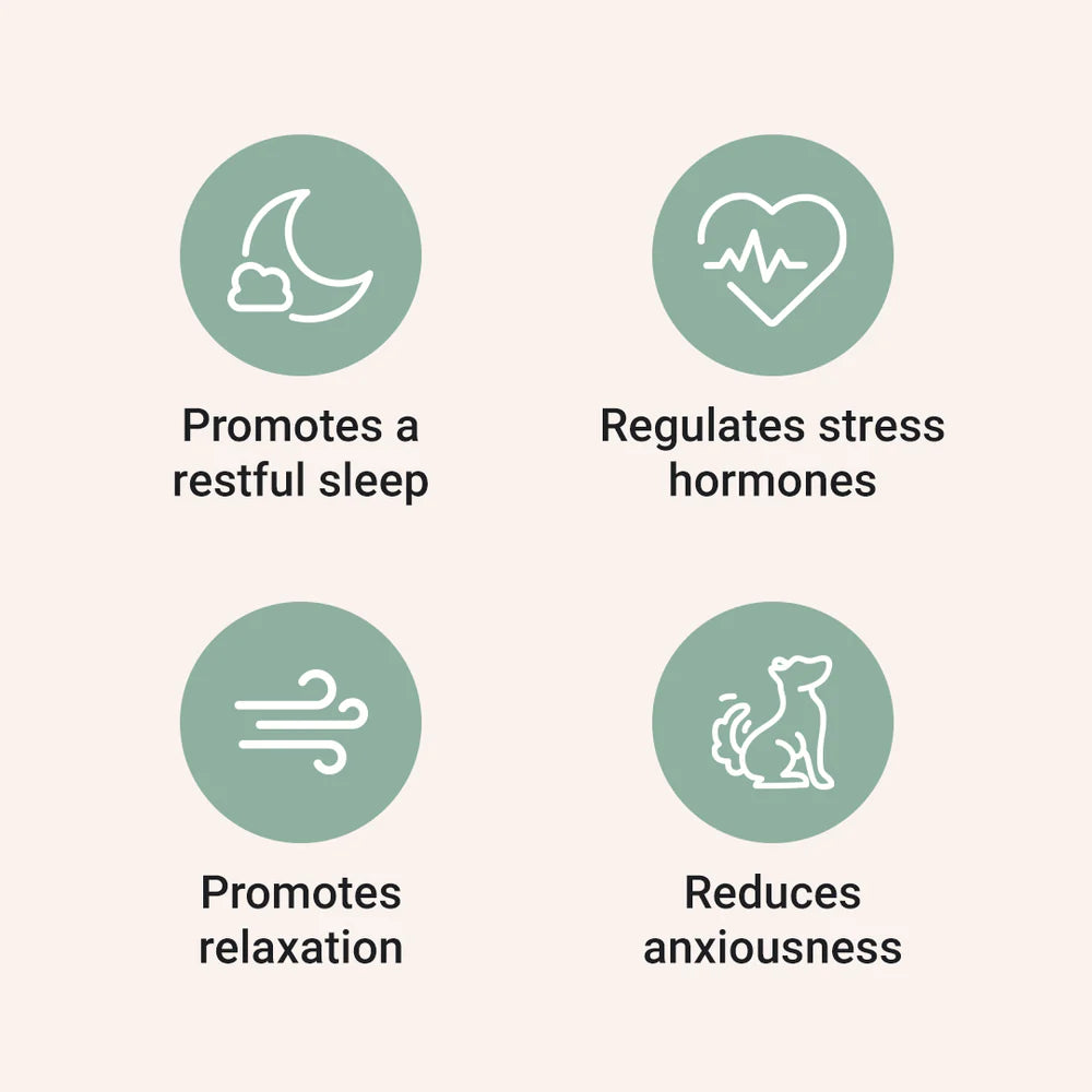 Sleep Aid for Dogs - Holistapet