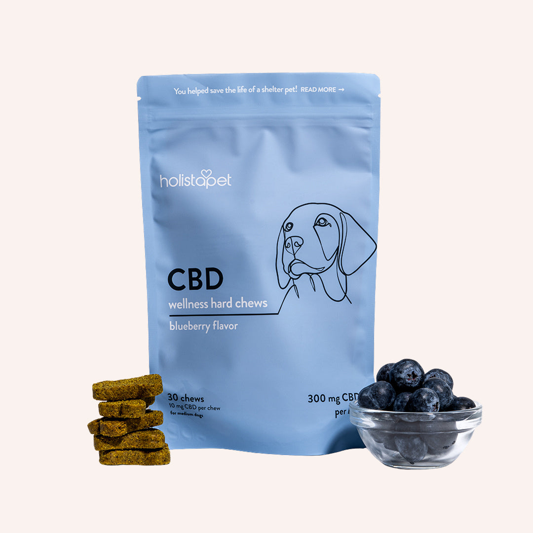 CBD Wellness Dog Treats