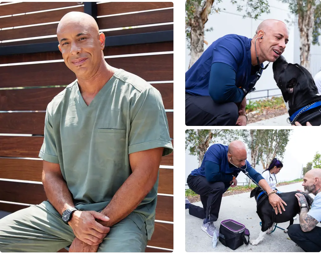 dr.kwane stewart