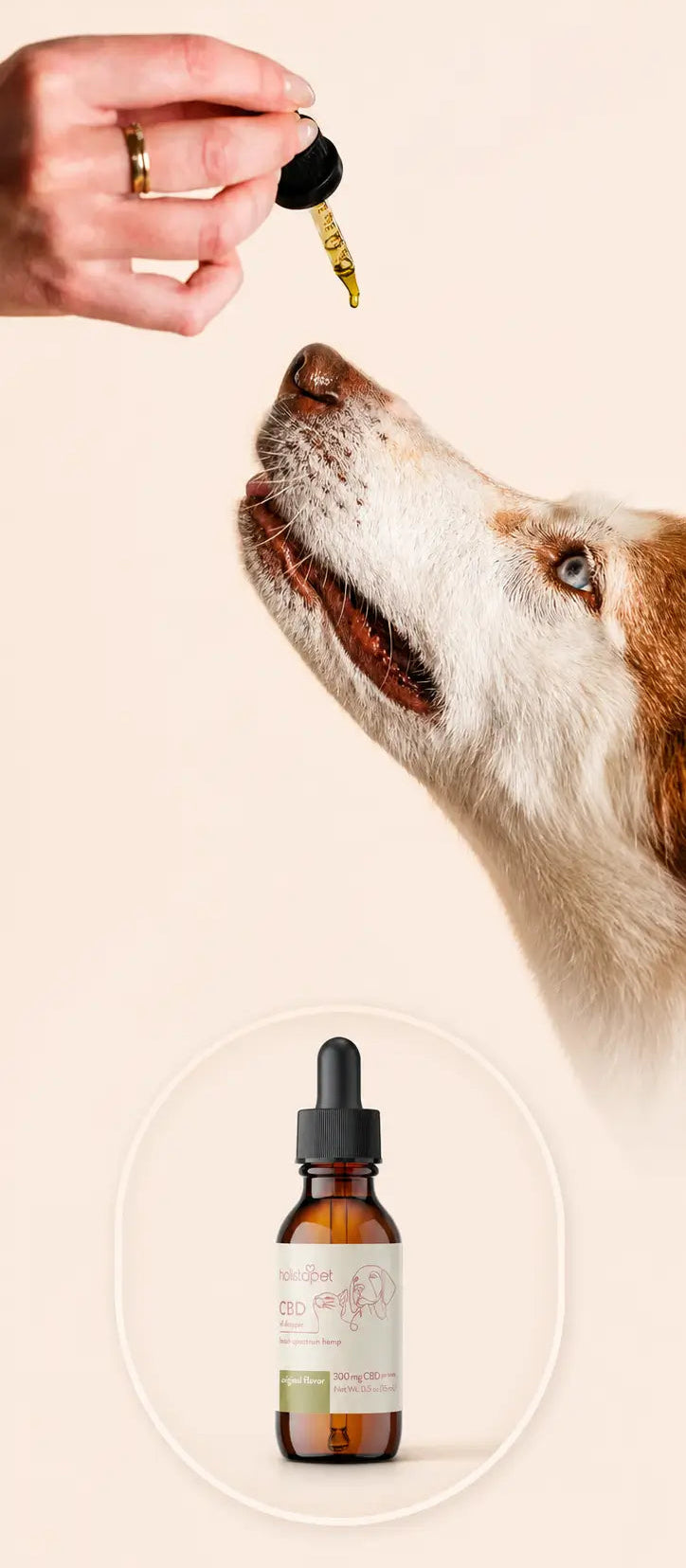 A dog dropper bottle shown with a hand holding a dropper above a dog on a warm beige background. The bottle is amber glass with a black dropper cap and a cream label.