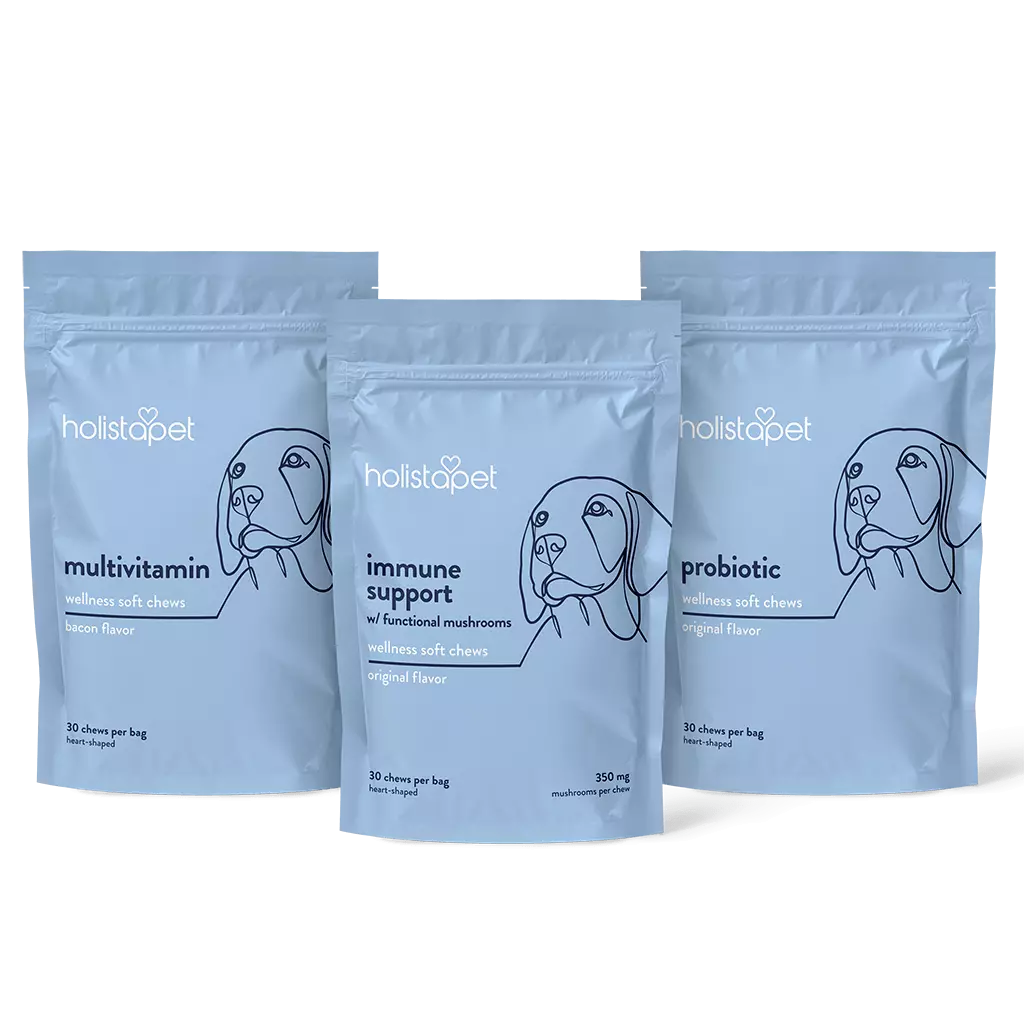 "I Feeeel Good" Bundle - HolistaPet