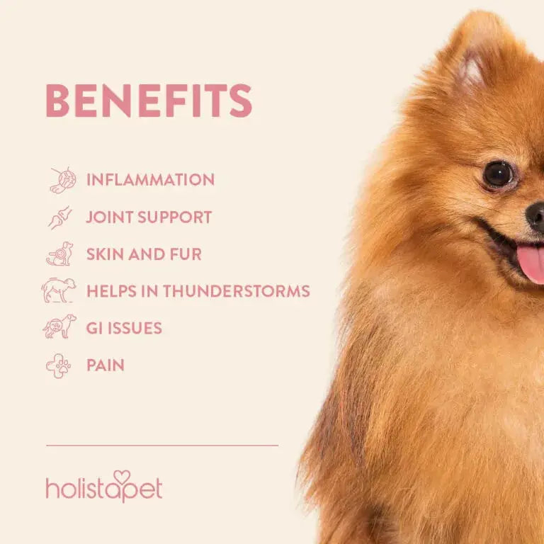 CBD Oil benefits for Dogs