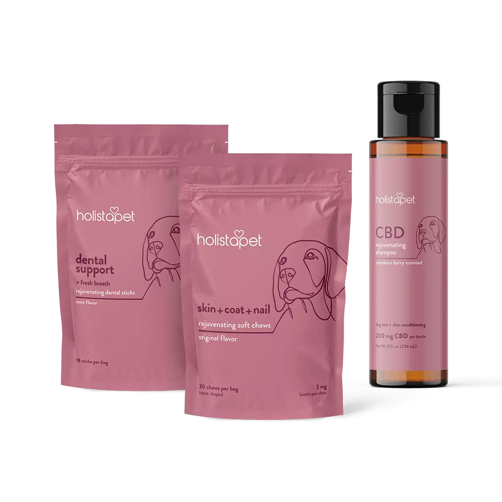 "Doggy S'paw Day" Bundle - HolistaPet