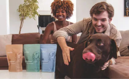 CBD Wellness Dog Treats For Dogs All Natural Grain Free HolistaPet