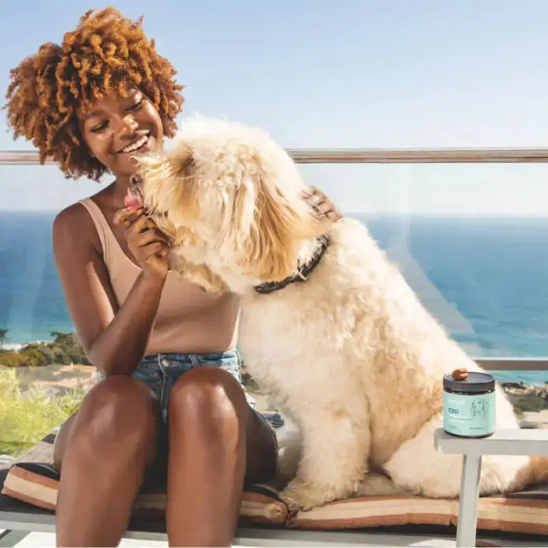 woman giving dog cbd treats