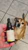 chicken cbd oil