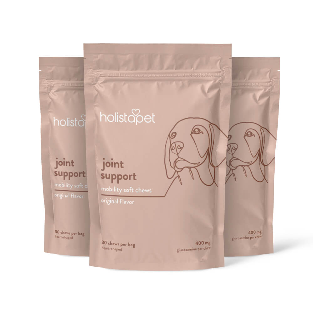 Joint Support Soft Chews for Dogs - HolistaPet