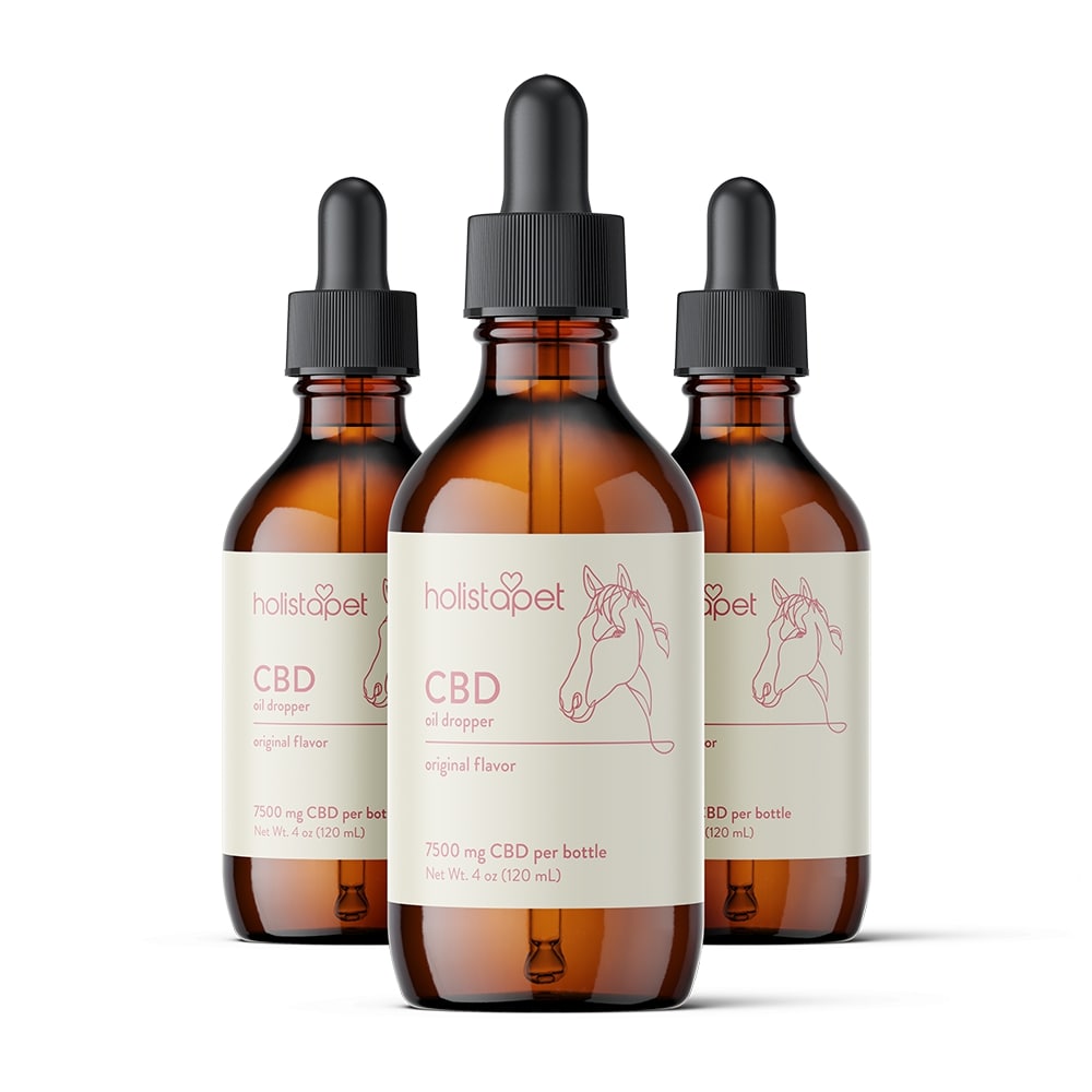 CBD Oil for Horses - Vet-Recommended Equine Wellness Support