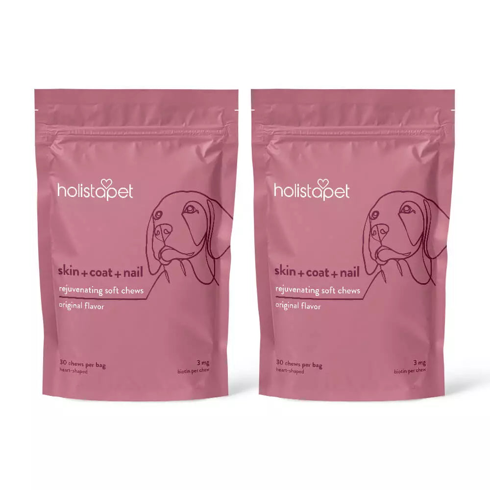 Skin, Coat, & Nail Soft Chews for Dogs - HolistaPet
