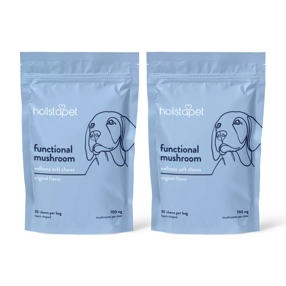 Functional Mushroom Soft Chews For Dogs